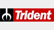 Trident Honda
